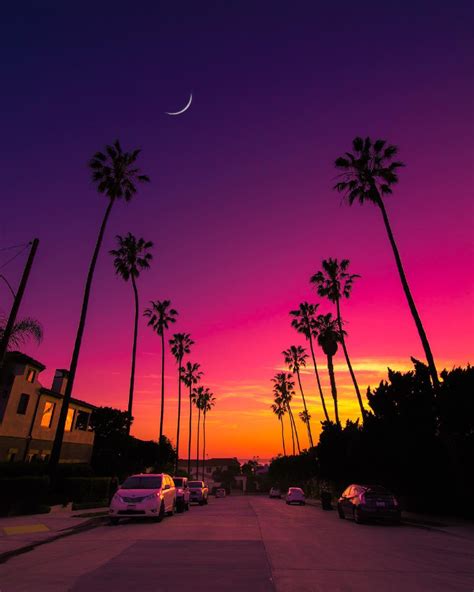 California Dreaming: Travel Suggestions for Los Angeles and San Diego