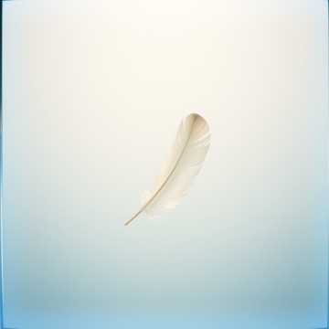 잊은 줄 알았는데