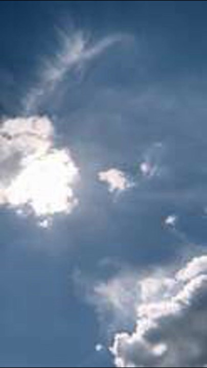 로저 페더러, 멈추지 않는 배움의 자세