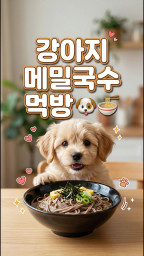 강아지 메밀국수 먹방 🐶🍜